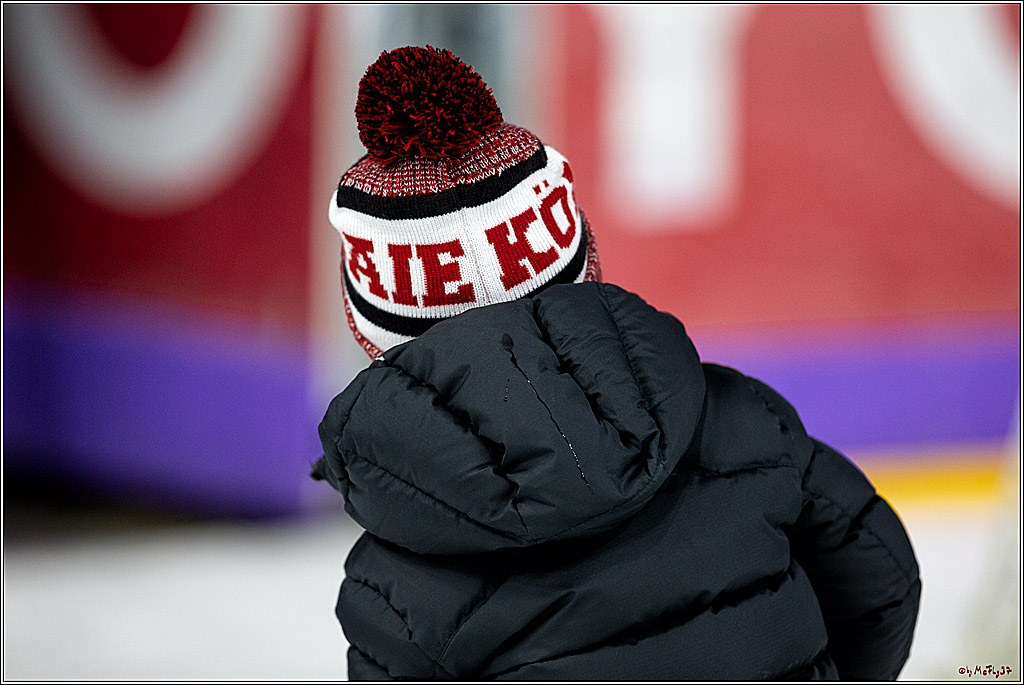DEL;  Koelner Haie - Straubing Tigers; Koeln, 01.03.2020